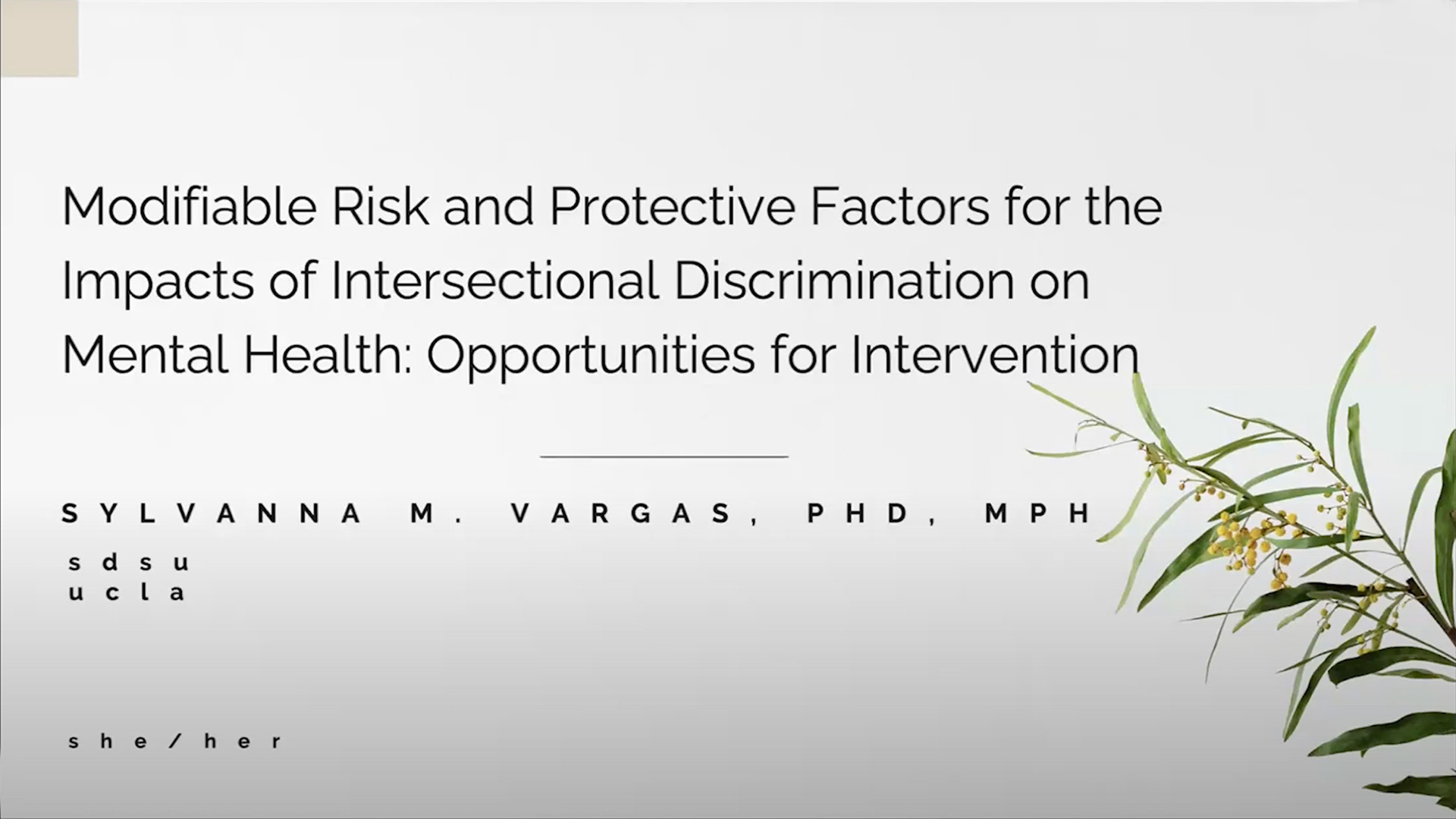 Modifiable Risk and Protective Factors for the Impacts of Intersectional Discrimination on Mental Health: Opportunities for Intervention